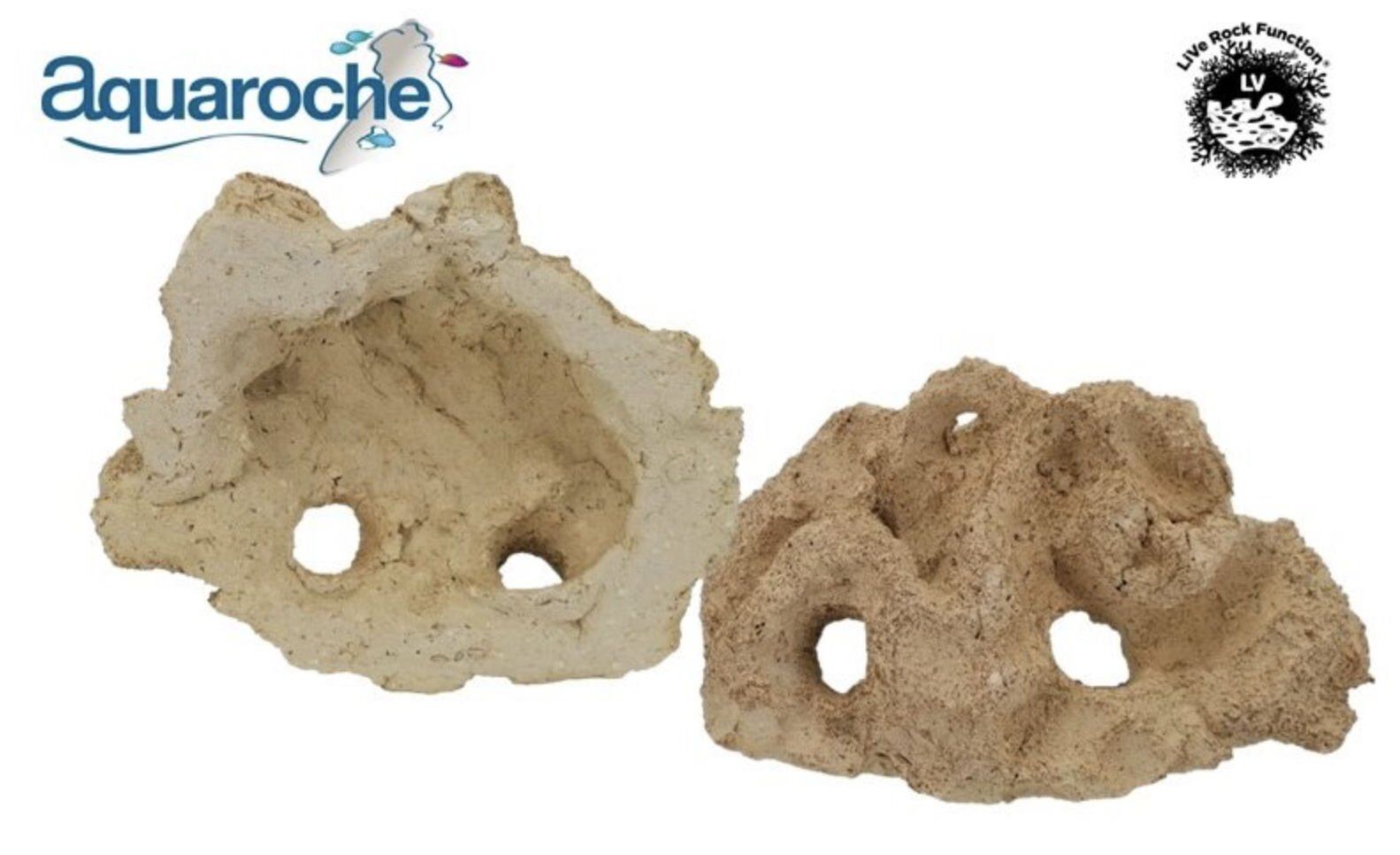 503942 Gobie Home open 2 holes