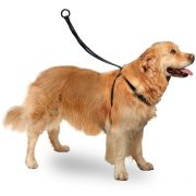 Karlie Easy Walker Kolay Yürüyüş Köpek Göğüs Tasması 40 x 58 cm Large