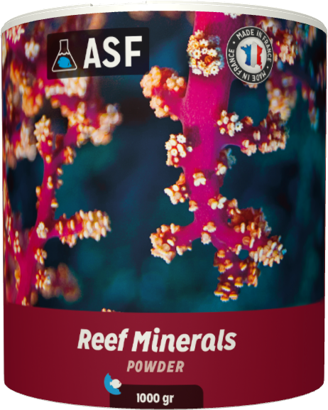 Reef Minerals 1000 gr