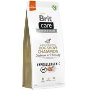 Brit Care Dog Hypo Dog Show Champion Salmon & Herring 12 Kg Köpek Maması