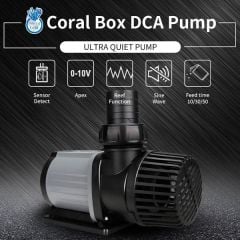 Coral Box - DCA 6000
