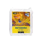 Reef Evolution Poşet