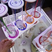 BAĞIMSIZ RENKLİ - 3 X 1 DOZAJ KABI