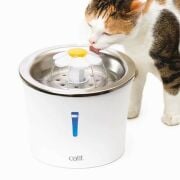 Hagen Catit Kedi Suluğu Çelik Hazneli LED Işıklı 3 L