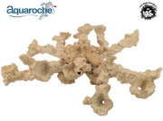 699710 Acropora kit 15 pieces branch cup