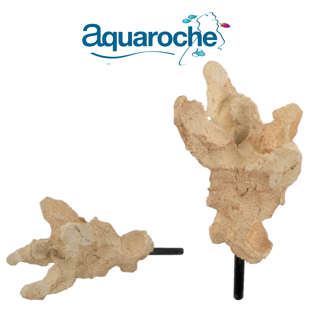 619781 Acroporock XL branch tip