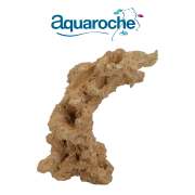 152038 Anemone arche