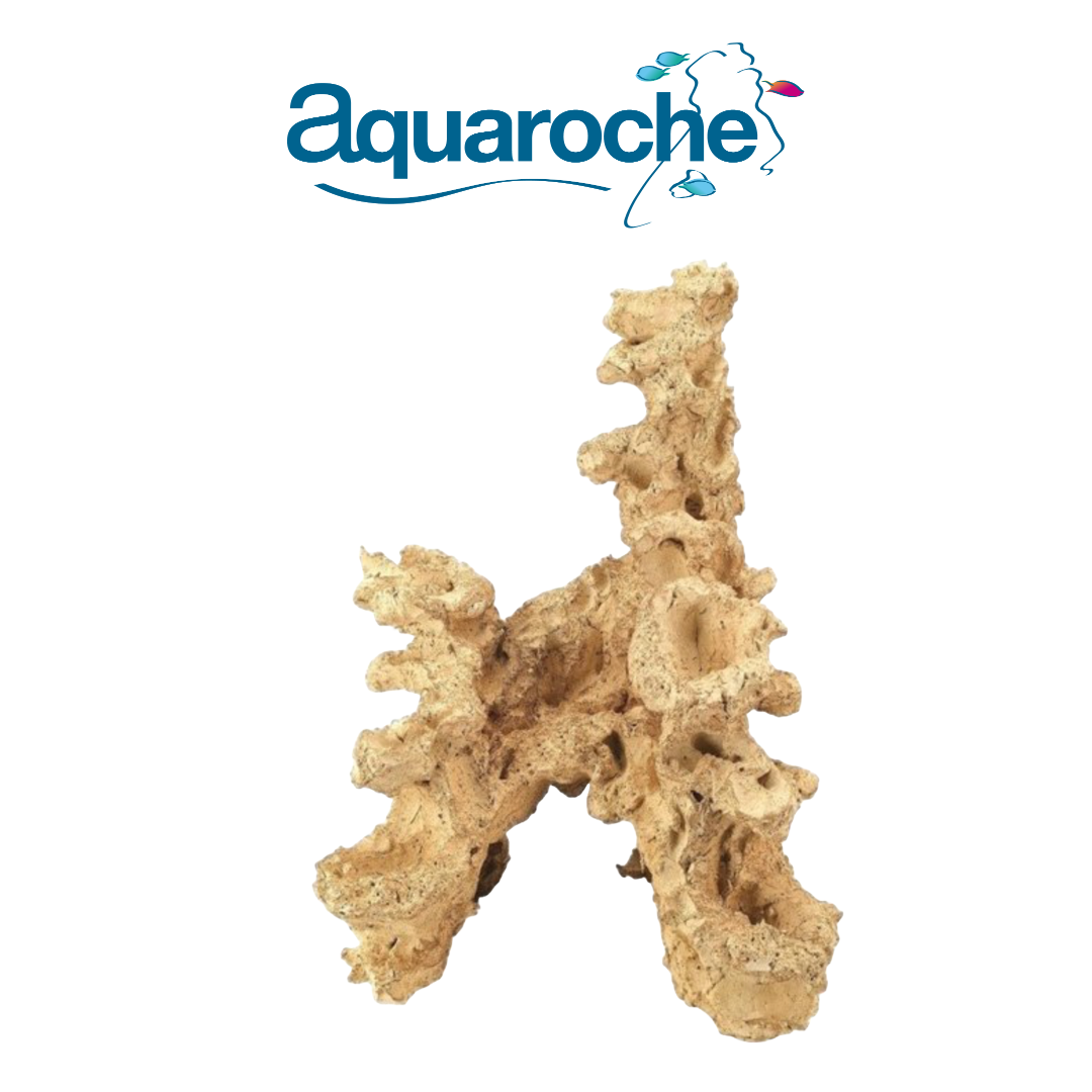 Right Grottoe 509806