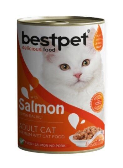 BestPet Somon Balıklı Yetişkin Kedi Konservesi 400gr X 12 Adet