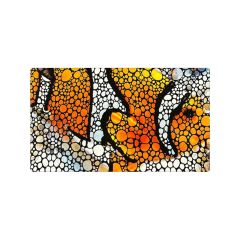 Flipper - Aquarium Mat ( Clownfish ) 45x75