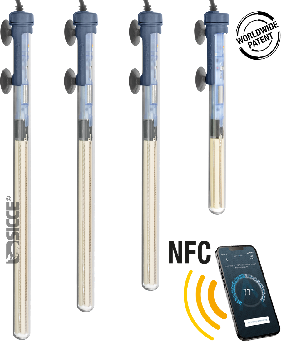 Scuba Contactless 200W