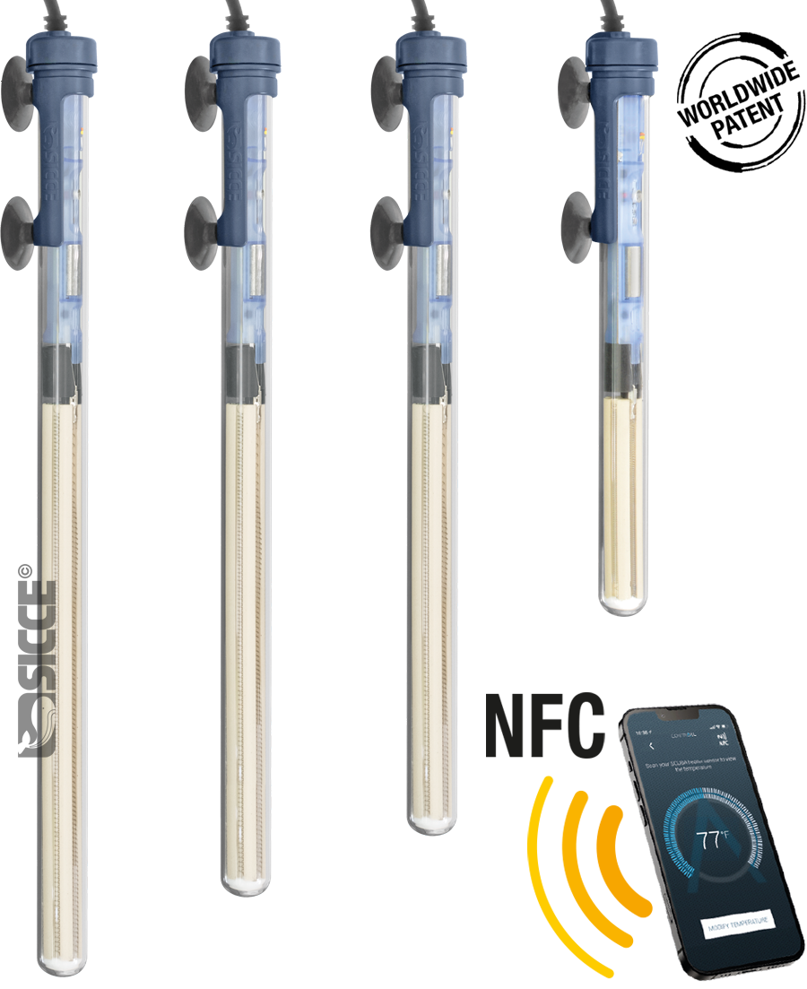 Scuba Contactless 100W