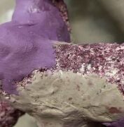 Hold fast Epoxy (MOR rengi) 120 grams