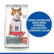 Hills Adult Sterilised Somon Balıklı Kısırlaştırılmış Kedi Maması 8 + 2 Kg Hediye