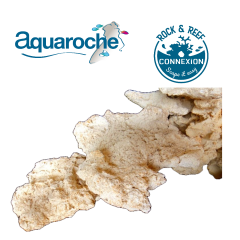 250523 Ecoreef Plate Rock