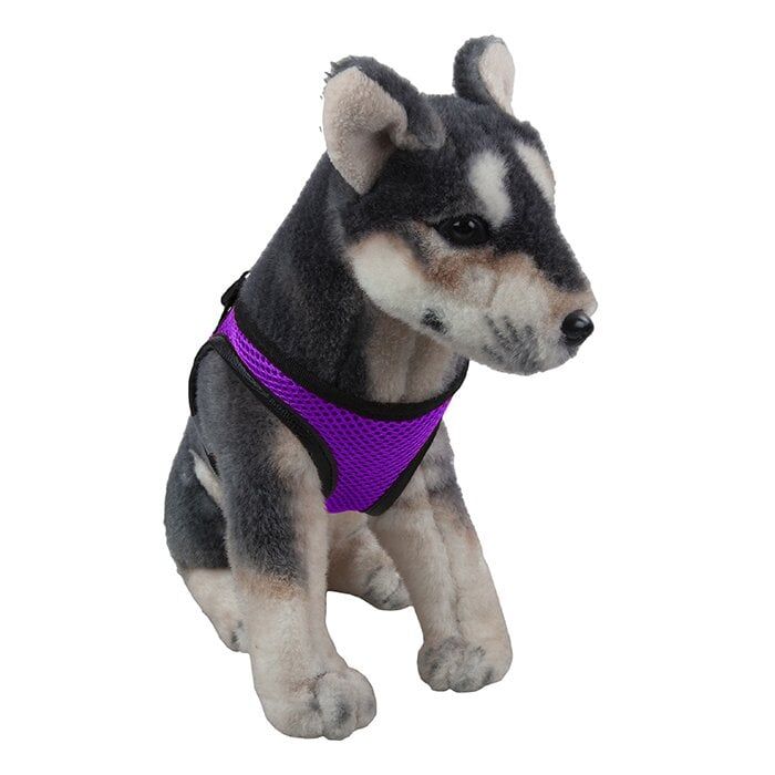 Oripet Eflatun Köpek Göğüs Tasması Mini