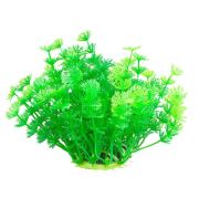 Chicos M-585 Plastik Akvaryum Bitkisi 11 cm