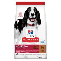 Hills Lamb Rice Kuzu Etli Yetişkin Köpek Maması 12+2 Kg