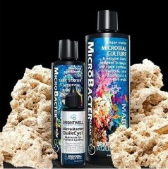 Brightwell - MicroBacter Dry Rock Bacteria Starter Kit - Bakteri Kültürü