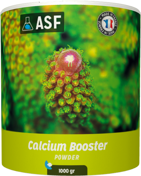 Calcium Booster 1000 gr