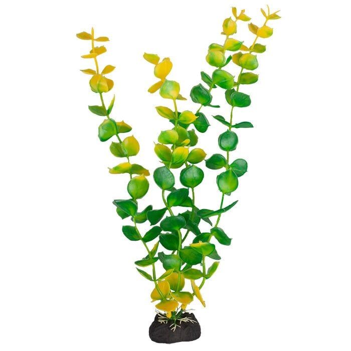 Chicos S-1159 Plastik Akvaryum Bitkisi 28 cm