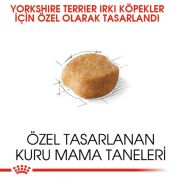 Royal Canin Yorkshire Terrier 1,5 kg Köpek Irk Maması