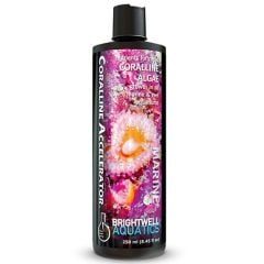 Brightwell Coralline Accelerator 250 ml
