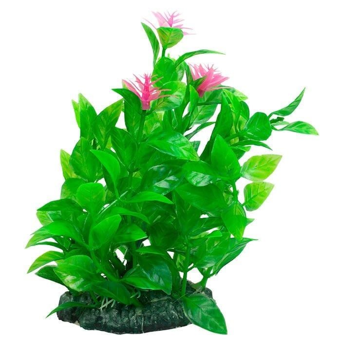 Chicos M-419 Plastik Akvaryum Bitkisi 11 cm