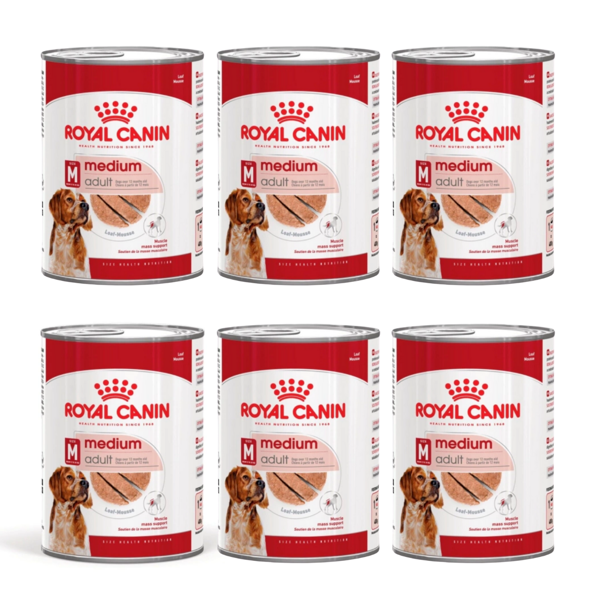Royal Canin Medium Adult 410 gr x 6 Adet Konserve Köpek Maması