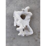 ZeoChem - Coral Rock - 10 Kg - Branch