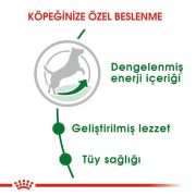 Royal Canin Mini Adult 4 kg Köpek Maması