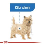 Royal Canin Mini Light Weight Care 3 kg Köpek Maması