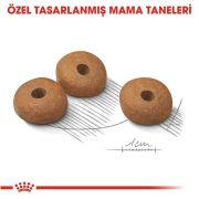 Royal Canin Mini Light Weight Care 3 kg Köpek Maması