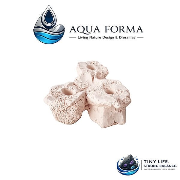 Aqua Forma Seramik Kaya - Frag Garden Triple Çap 10-Yükseklik 5cm