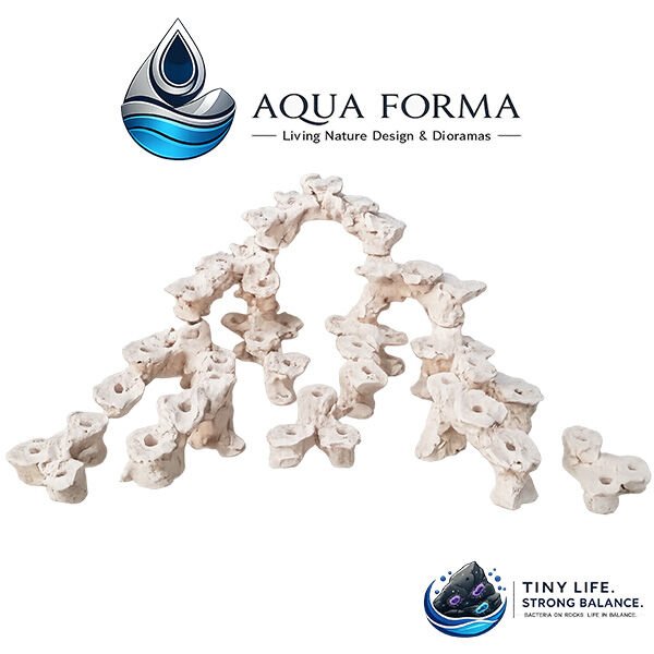 Aqua Forma Seramik Kaya - Frag Garden Full-3 60x35x27cm