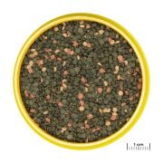 Jbl Pronovo Malawi Grano M 5,5 L