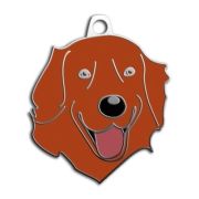 Dalis Pet Tag - Kizil Golden Retriever Köpek Künyesi