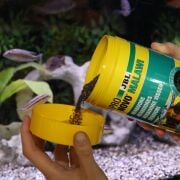 Jbl Pronovo Malawi Grano M 250ml