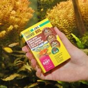 Jbl Pronovo Bel Flakes Baby 3 X 10 ml