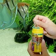 Jbl Pronovo Bel Grano XS 100 ml