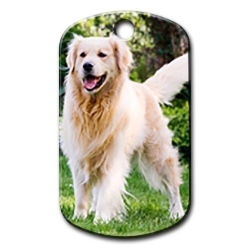 Dalis Pet Tag - Golden Retriever Köpek Künyesi