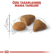 Royal Canin Fussy Exigent Seçici Kedilere Özel Kedi Maması 2 Kg