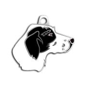 Dalis Pet Tag - Pointer Köpek Künyesi (Siyah/Beyaz)