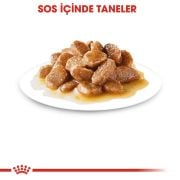 Royal Canin Mini Adult Pouch 85 gr x 12 adet
