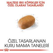 Royal Canin Maltese Adult 1,5 Kg Köpek Irk Maması