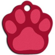 Dalis Pet Tag - Büyük Pati Köpek Künyesi