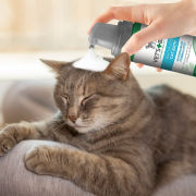 Vet’s Best Durulanmayan Kedi Şampuanı 150 ml