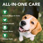 VET'S BEST Advanced Dental Foam 150 ml Köpek Ağız Bakım Köpüğü