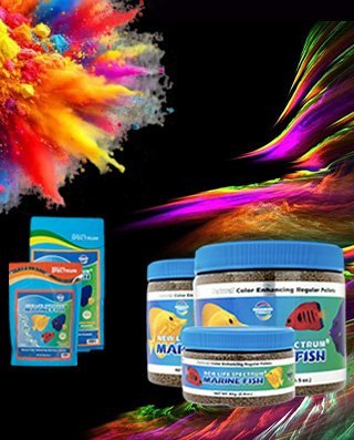 Balık Ve Mercan Yemi