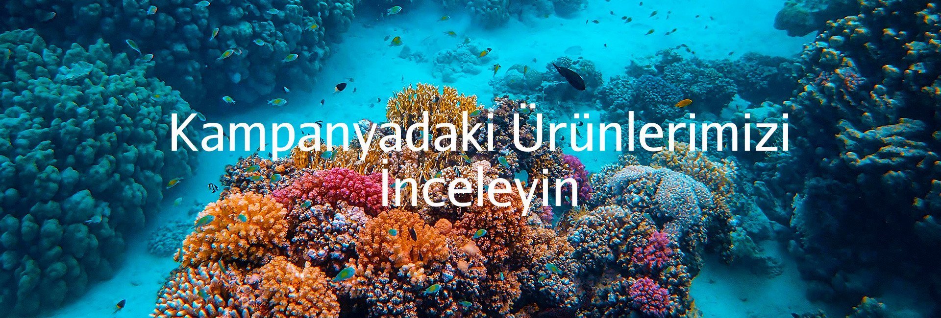 Deniz Akvaryumu Kampanyalı Ürünlerimiz
